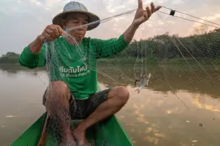 Rare-earth mining runoff imperils Southeast Asian rivers