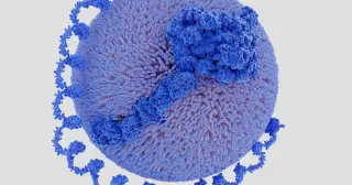 Pelacarsen's big failure rocks cardiology hopes