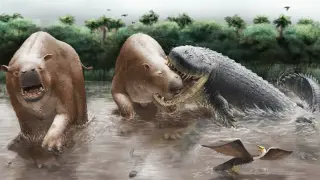 Miocene Megacrocodiles Dominated South America's Pebas Wetlands