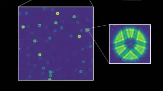Neon-green first light for NASA's Nancy Grace Roman Space Telescope