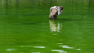Hydrogen Peroxide and Nanobubbles Target Algae in Lincoln Memorial Pool