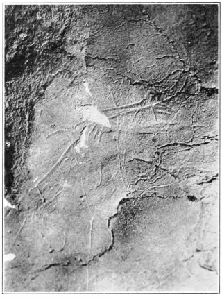 AI-guided Ireland cave art hints at earlier human arrival