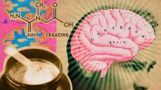 Higher-Dose Creatine May Power the Brain Through Sleep Loss and Stress
