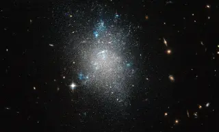 Dark Matter as Two Forms Could Explain Galactic Gamma-Ray Clues
