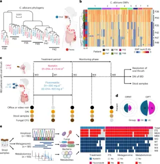 Fluconazole reshapes the gut microbiome and improves disease activity in IBD