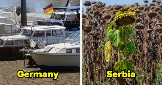 Europe Faces Historic Drought as Rivers Run Dry