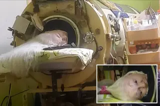 Oklahoma polio survivor, final iron lung patient in the U.S., dies at 78