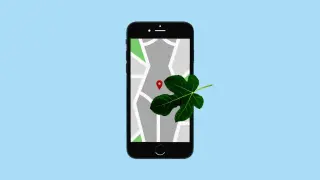 iPhone Era Linked to Faster Decline in Birth Rates, New Study Finds