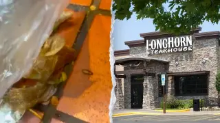 Georgia LongHorn Kitchen Filmed With Roaches Prompts Health-Inspection Scrutiny