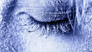 Cold Extends Worm Lifespan via Muscle-Produced BH2 Metabolite, Study Finds