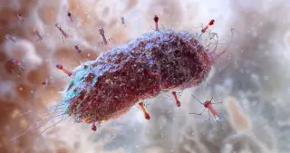 Startup Claims First AI-Designed Virus Treatment for Antibiotic-Resistant Infection