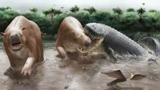 Bus-Sized Crocodiles Dominated Miocene South American Swamps
