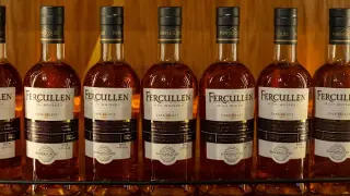 Trump lifts Irish whiskey tariffs on Ireland visit