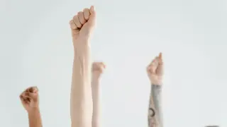 Two Evolutionary Shifts Pushed Humans Toward a Right-Hand Bias
