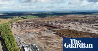 Finland's AI Boom Collides with Environmental Reality as Google's Illegal Clearing Sparks National Crisis