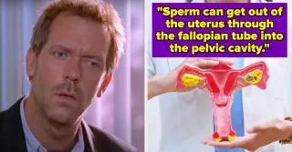 Nineteen Mind-Blowing Human-Body Facts Med Students Couldn't Ignore