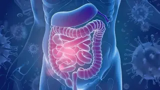 Enzyme Supplement Targets FODMAPs to Ease IBS Symptoms Without Strict Diets