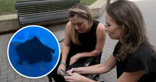 Richmond doctor’s bat-in-mouth scare goes viral as rabies PSA