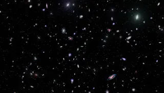Milky Way and Local Group Ride the Cosmic Tug-of-War Between Mass and Void