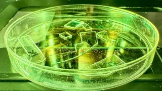 Virus-Rupturing Nano-Pillar Film Gives Surfaces a Chemical-Free Defense