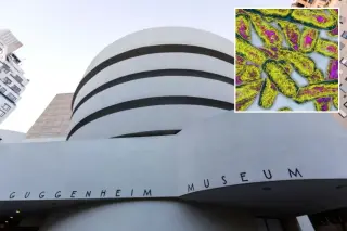 Guggenheim among 31 Upper East Side buildings tied to Legionella outbreak