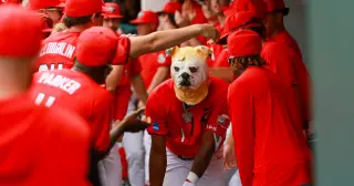 UGA duo watches rival Tech fall as Oklahoma ousts Jackets, sending Georgia to face MSU in Super Regionals