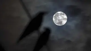 Harvest Moon and Saturn Align for Weekend Sky Spectacle