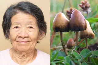 Psychedelic Breakthrough: Psilocybin Reawakens Speech in an Alzheimer’s Patient