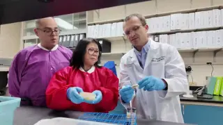 Texas Grapples with Drug-Resistant Candida auris as Researchers Seek New Treatments