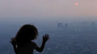 Wildfire Smoke Puts Hearts, Brains—and Pregnancies—at Risk