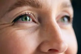 One-time gene therapy repairs damaged adult retinas in dogs, offering hope for human vision loss
