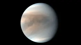 Venus hosts the solar system’s largest hydraulic jump, fueling towering sulfuric acid clouds