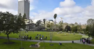 L.A. County Declares Second Flea-Borne Typhus Outbreak in Wilshire Center
