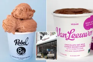 Rebel Creamery files for Chapter 11 after $23.8M packaging ruling against Van Leeuwen