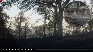 Gann Fire Update: Evacuations Continue as Containment Edges Up in Calaveras