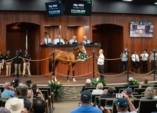 Flightline Colt Brings Record $10.5M at OBS April Sale