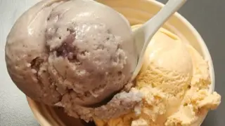 Rebel Creamery Enters Chapter 11 Amid Van Leeuwen Packaging Dispute