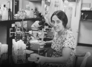 Lynn Margulis’s Rejected Symbiogenesis Theory Reshapes Biology Despite Sexism and Controversy