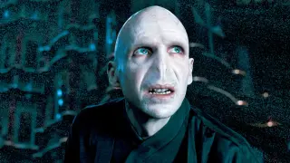 Could Tilda Swinton Play Voldemort in HP HBO Series? Fiennes Hints It Could