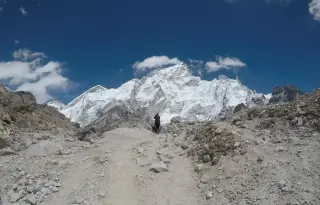 Sea-floor to Summit: Fossils in Everest’s Peak Limestone Reframe Its Rise