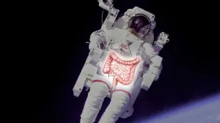 Microgravity slows gut transit, shifting bacteria to protein fermentation and causing constipation