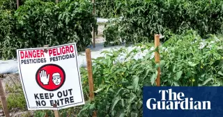 Study Links 485 Pesticide Chemicals to Breast Cancer, Exposing Regulatory Gaps
