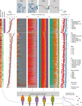 Eight integrated mutational footprints map drivers and therapy response in prostate cancer