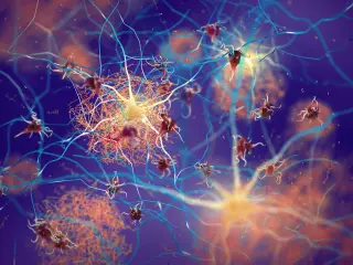 L-Arginine Stabilizes Protein Droplets to Halt Alzheimer’s Fibril Formation