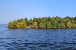 Mysterious Forest Island Emerges, Vanishes, Then Reappears on BC's Williston Lake