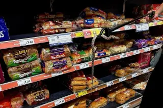Bread Aisle Corn Snake Sparks UK Rescue Surge
