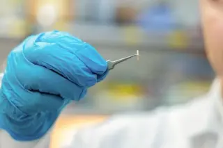 Seed-sized wireless nerve device could reshape chronic-pain treatment