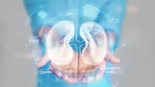 Global Kidney Disease Surges to 800 Million, Redefining Public Health Priority