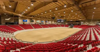 Las Vegas teen charged after allegedly stabbing three horses at equestrian event
