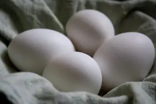 Multistate Salmonella Outbreak Tied to Recalled Eggs Prompts 17-State Health Alert